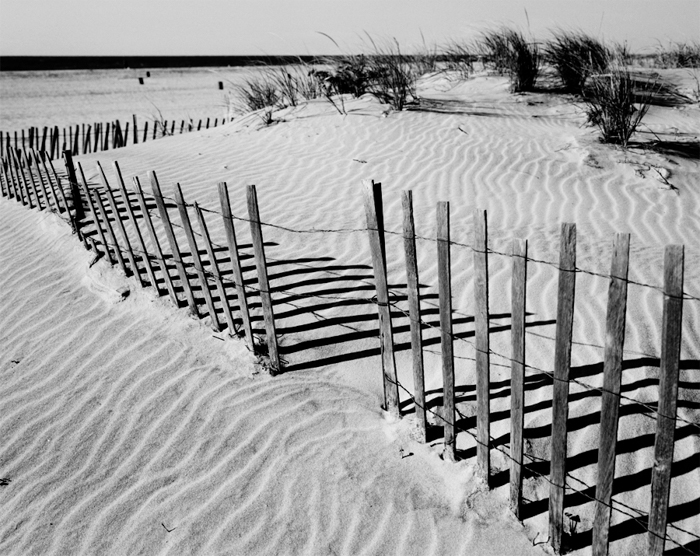 13 Beach Fence & Dune