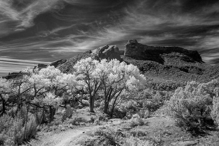 Lower Monument Canyon IR BW 0853