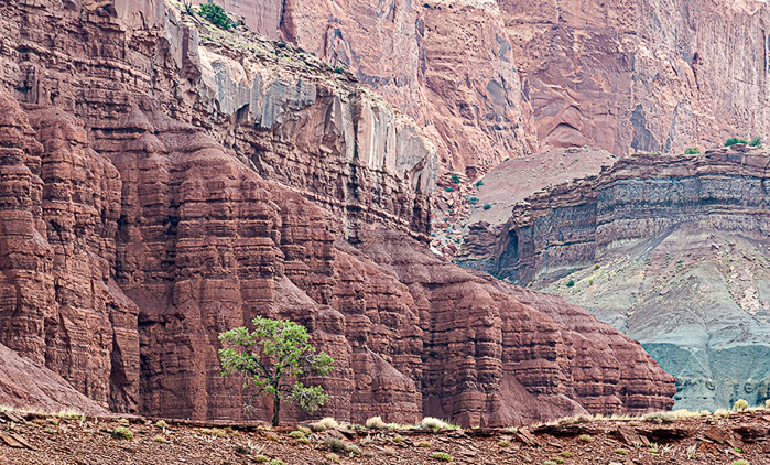 Capitol Reef Color 9189