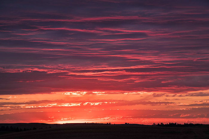 Palouse Sunset Color 4231