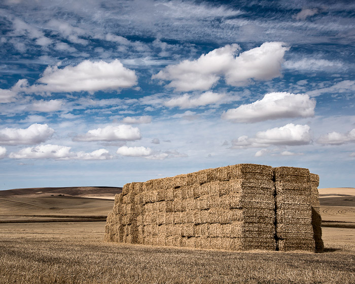 Palouse Hay Bales in Field Color 3626