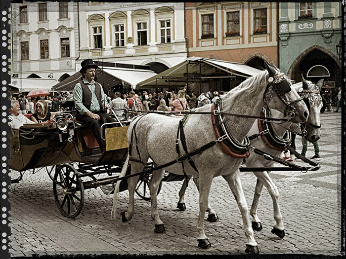 Prague Horse & Carriage 3 5161