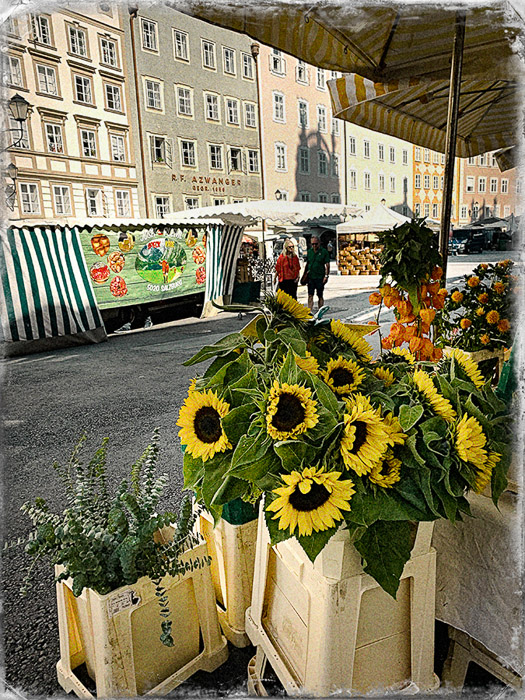 Salzburg Market 1 4736